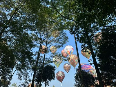 Java Balloon Attraction 2026, Perpaduan Tradisi, Wisata, dan Kebanggaan Wonosobo