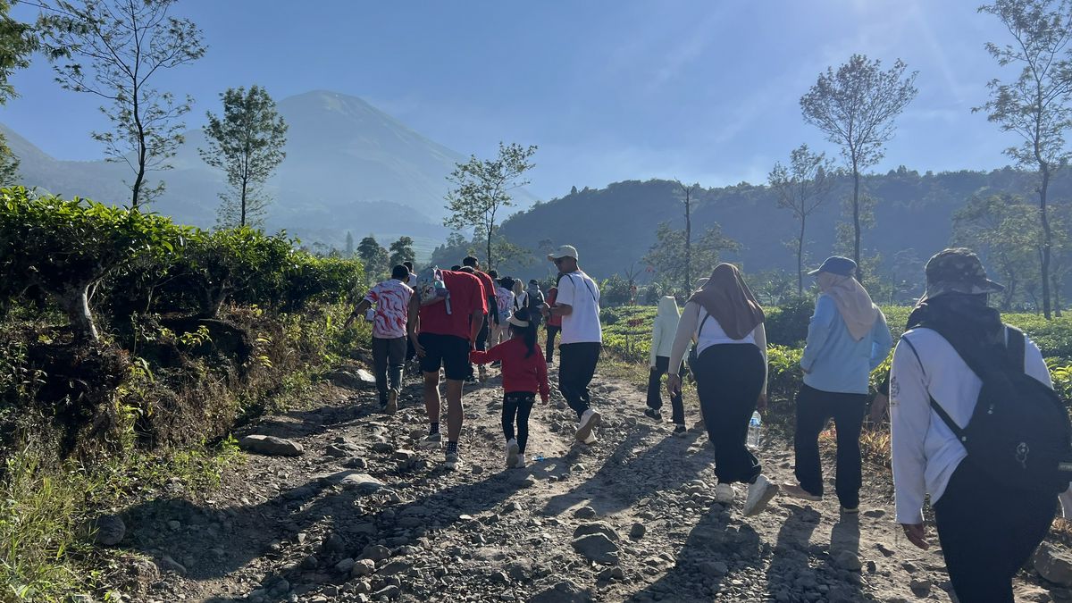 Ribuan Peserta Semarakkan Funwalk #2 Hari Jadi Wonosobo, Wisata Kebun Teh Bedakah jadi Magnet Baru Sport Tourism