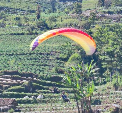 ‎Paragliding Culture Festival 2026 Sukses Sedot Ribuan Pengunjung, Padukan Olahraga Dirgantara dan Budaya di Wonosobo