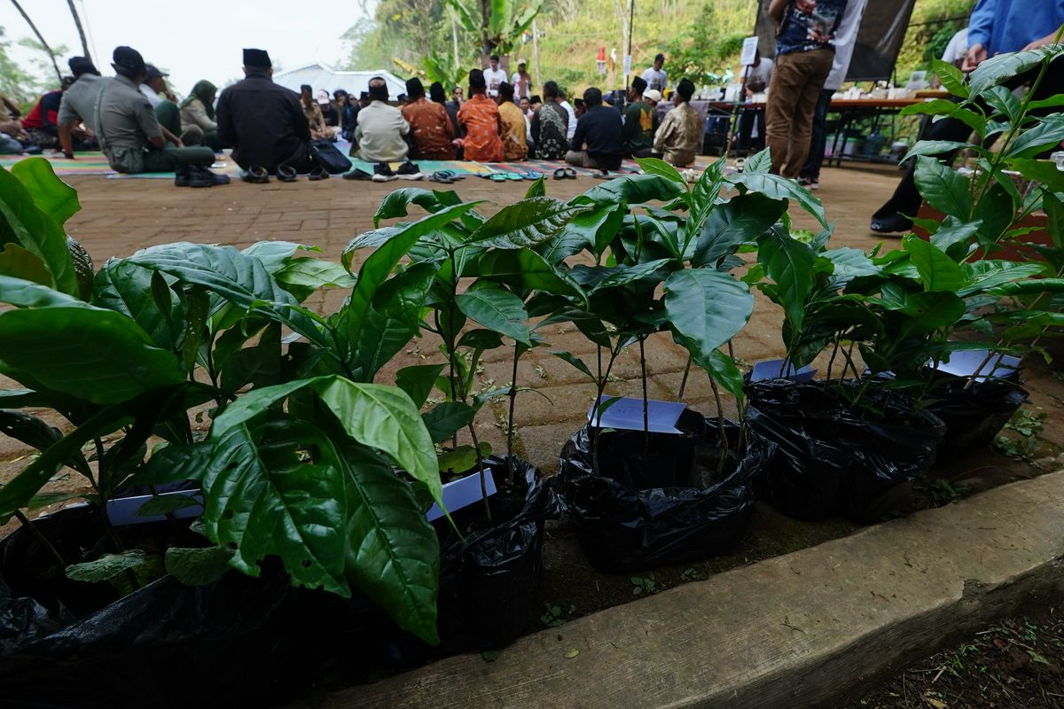 Kadisparbud Wonosobo Apresiasi Sarasehan Kopi Slukatan, Dorong Potensi Lokal Jadi Daya Tarik Wisata